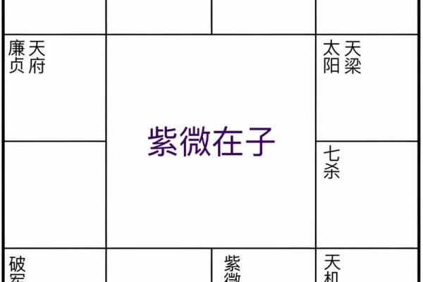 紫薇斗数迁移天府 紫薇斗数迁移天府