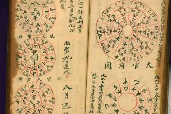 薜仁贵祖坟风水