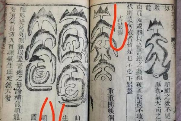 知识：风水术的望、闻、问、切