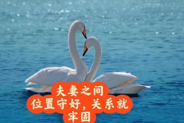 增进感情，有利爱情的居家风水