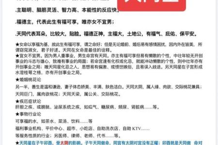 紫微斗数之事业宫与诸星，天同星在事业宫是什么意思？
