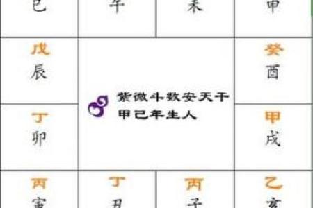 紫薇斗数安大限诀