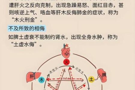 中国风水文化_易经黄帝内经和道德经式微的根源是什么