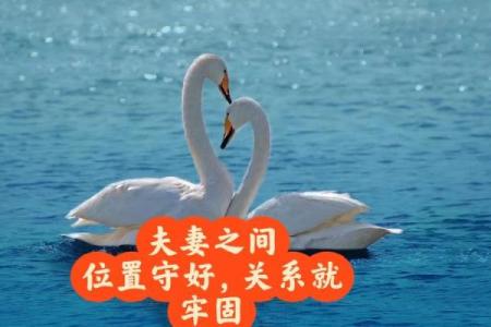 增进感情，有利爱情的居家风水