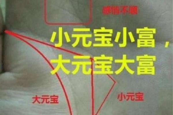 算命的说,手腕上有这样的纹路,一定会破财! 算命的说,手腕上有这样的纹路,一定会破财!