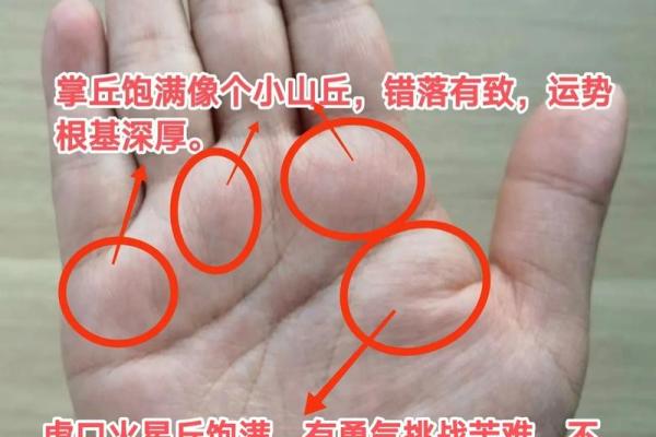 算命说我根基深厚啥意思