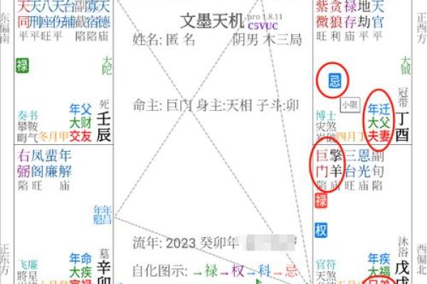 东京紫薇斗数入门