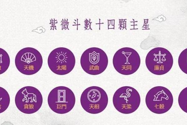 紫薇斗数性格怪异 紫薇斗数性格怪异