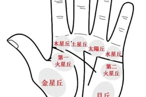 看男人手相算命图解 中指长的会富贵