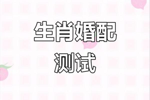 免费测算一生婚姻？,占卜爱情免费测试