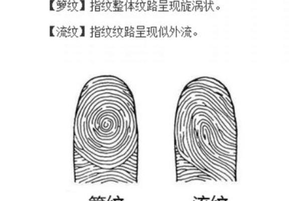 指纹算命 十指指纹算命查询