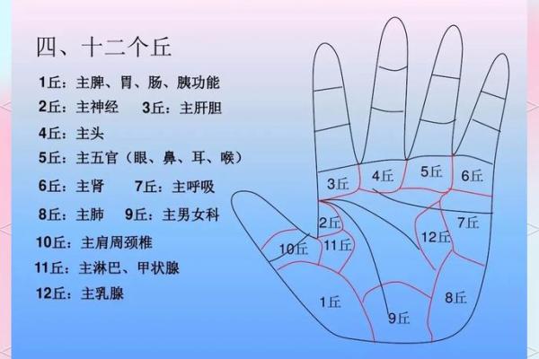 指纹算命 十指指纹算命查询