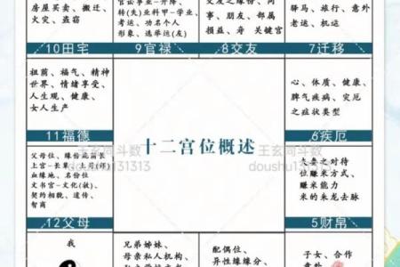 东京紫薇斗数入门
