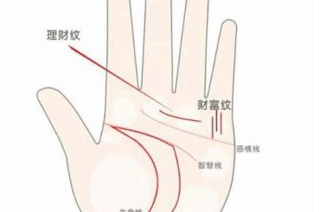 男人看手相算命财运怎么看 男人手中钱财纹多最有钱