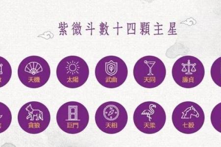 紫薇斗数性格怪异