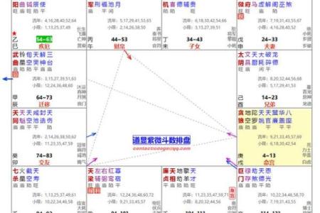 紫薇斗数实例解说