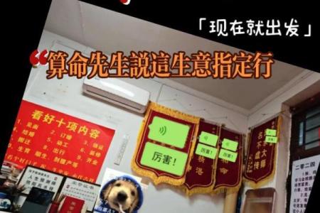 洛阳市哪有算命