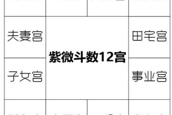 紫薇斗数1宫2宫 紫薇斗数1宫2宫