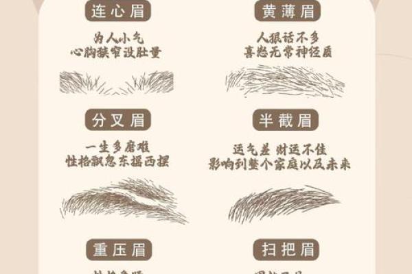 八字眉生肖