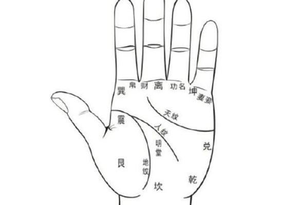 手纹线看相 手纹看相算命图解
