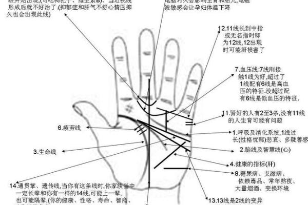 财运线是哪一条?财运线算命图解 财运线是哪一条?财运线算命图解