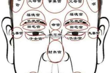 面相额头痣相图解算命