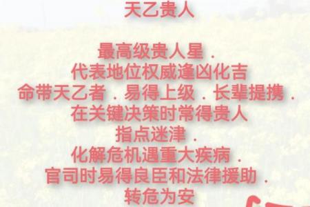 八字中的天罗运是什么意思？