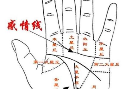 手纹线看相 手纹看相算命图解