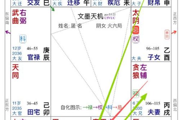 紫薇星入命宫，唐艺尹老师独家分析