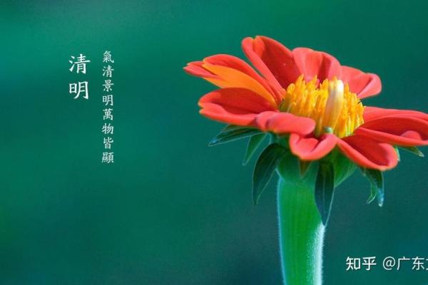 风水上清明节能剪头发吗 风水上清明节能剪头发吗