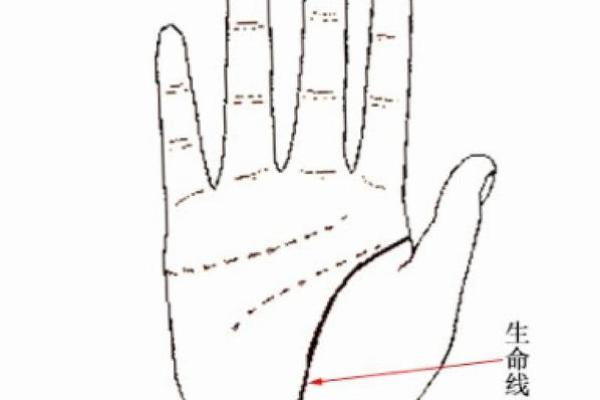 生命线算命:手掌上的玄机真能预测你的命运? 生命线算命:手掌上的玄机真能预测你的命运?