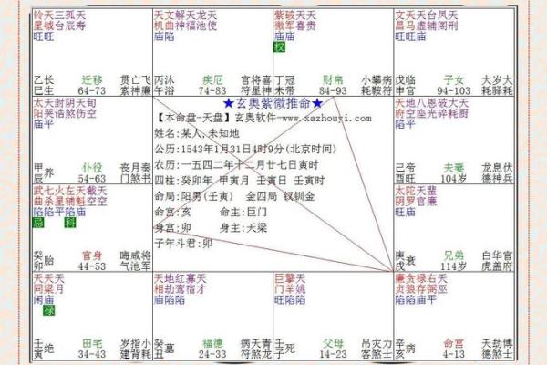 紫薇斗数宫位详解