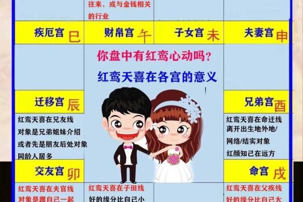 紫微斗数红鸾在官禄宫