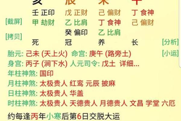 八字排盘详解破解版