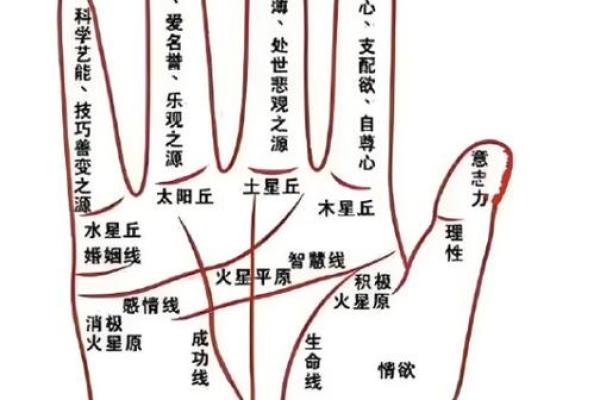 怎么看手相算命，怎么看手相算命图解