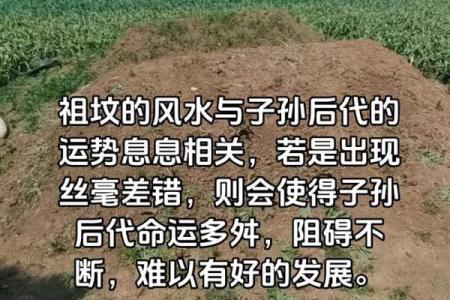 阴宅墓地的风水不好该怎么办