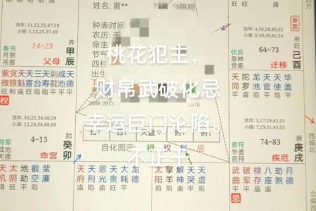 太阴在财帛宫，紫微斗数太阴在财帛宫