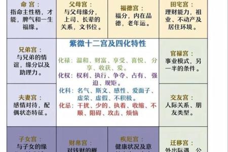 紫薇斗数主星性质：廉贞，天府，贪狼，巨门