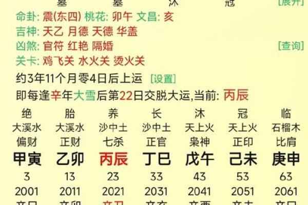 在线八字查询是童子命 要请师傅再看一次 在线八字查询是童子命 要请师傅再看一次