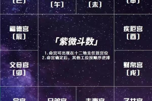 紫微斗数紫薇落官禄宫