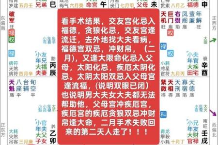 易学鬼手揭秘八字弃命从财，弃命从杀，弃命从儿，弃命从印，弃命从旺