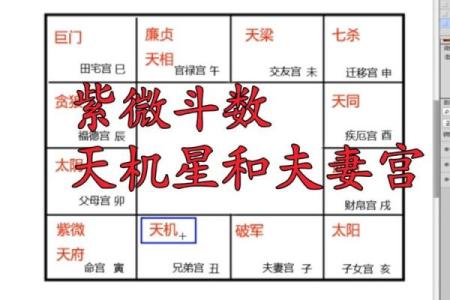 配偶本地外地紫薇斗数