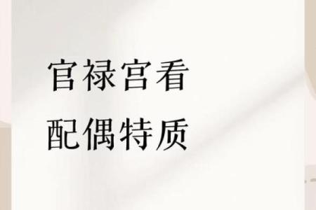 紫微斗数紫薇落官禄宫