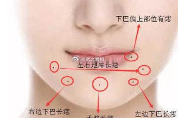 如何从下巴看相算命 如何从下巴看相算命