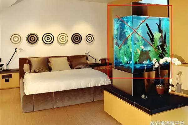 鱼缸与风水禁忌 这些摆放位置要注意