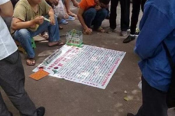 相面算命影视剧在线观看