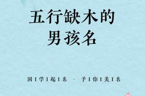 八字缺木喜土男孩名字