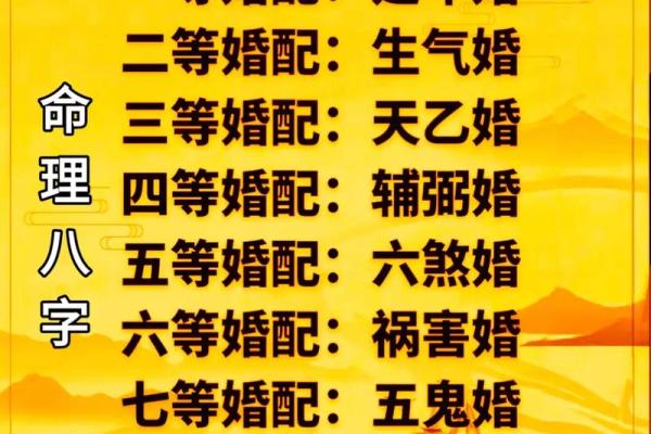 八字合婚5合什么意思呀 八字合婚5合什么意思呀