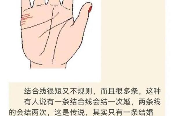 算命看手相算命图解 女性子女线