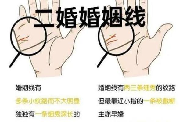 算命看手相算命图解 女性子女线